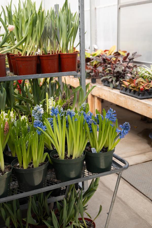 IMG_9623.jpg (149 KB)